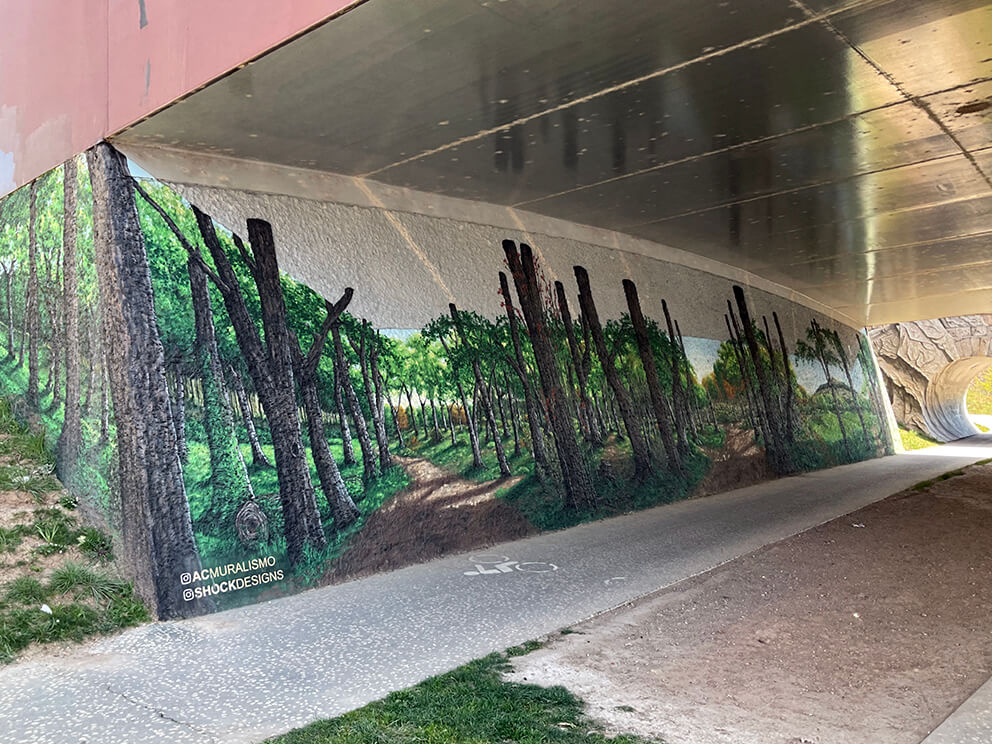Puente Fuente Prior con @_christiansasa_ - Burgos